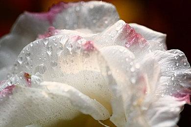 抢在COD前面！传《战地6》大逃杀模式10月28日上线